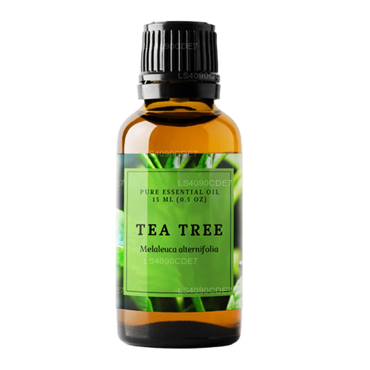 Aceite esencial de árbol de té Lakpura (15 ml)