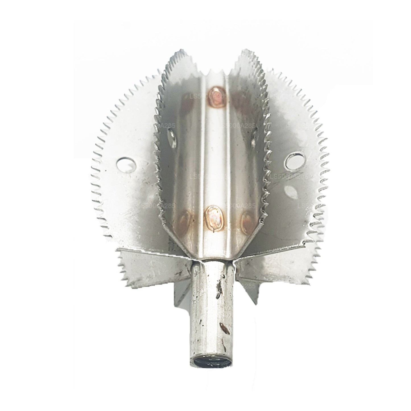 Rascador de coco Odiris de acero inoxidable (modelo B5)