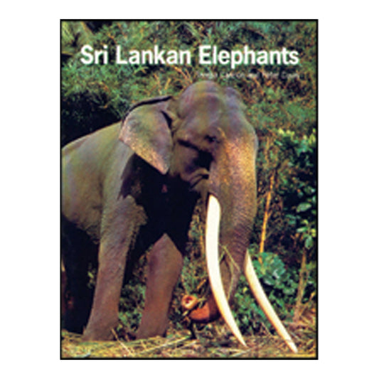 Elefantes de Sri Lanka