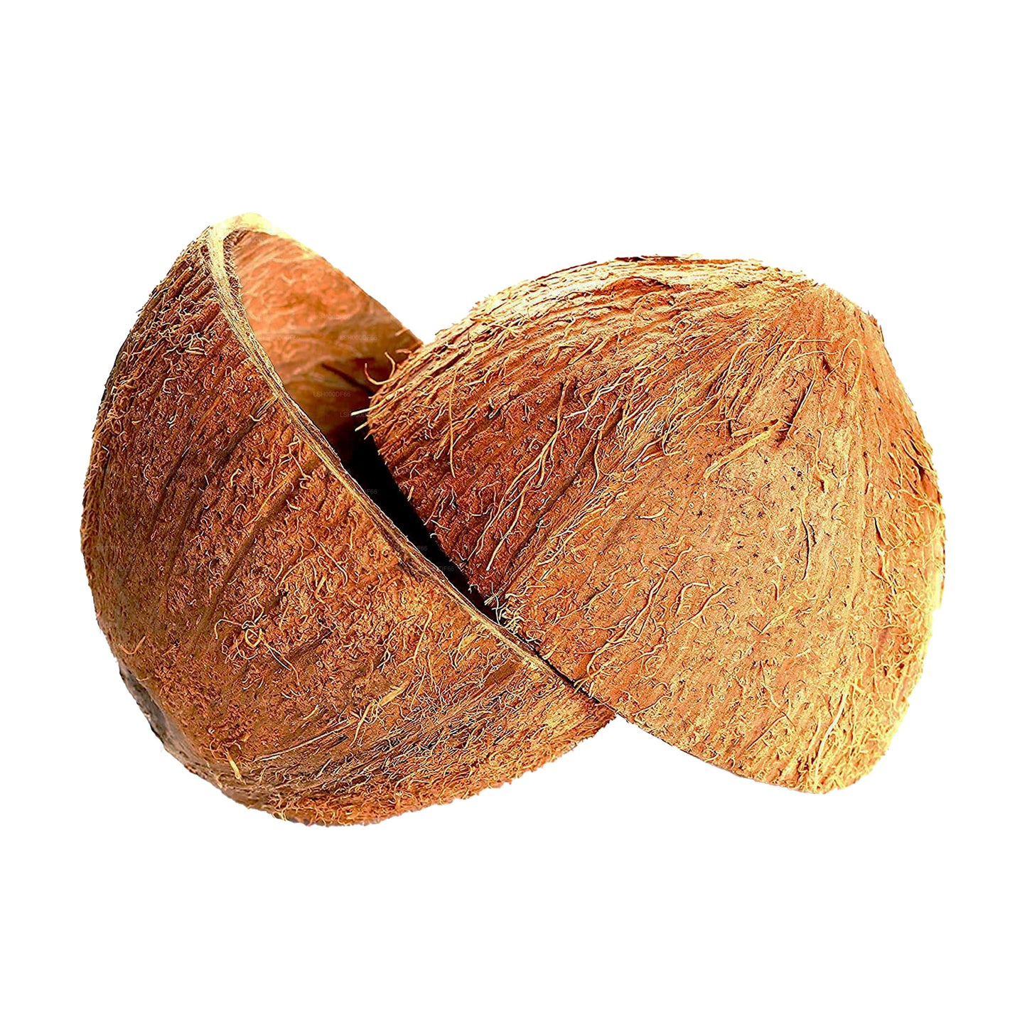 Mitades de cáscara de coco (2 unidades)