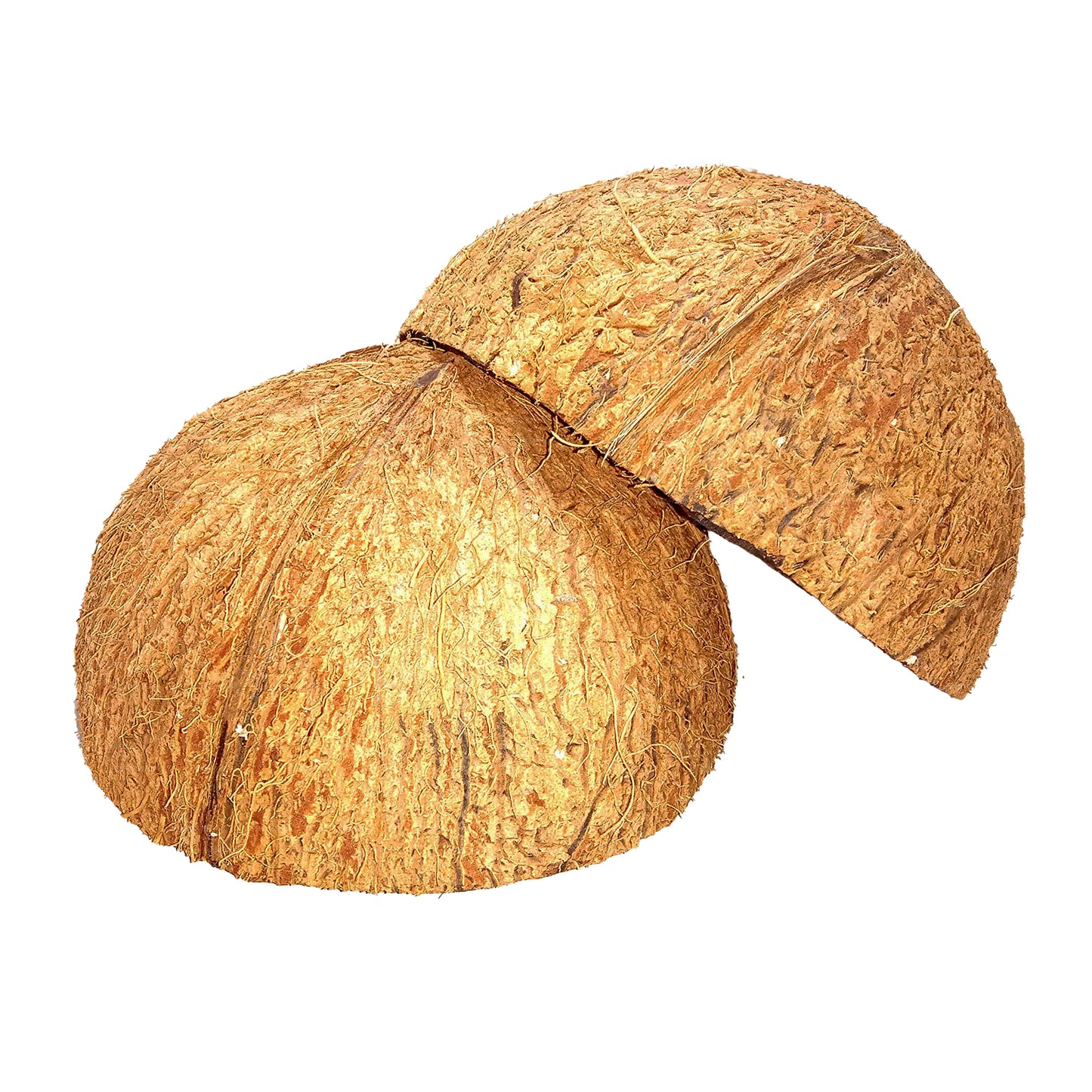 Mitades de cáscara de coco (2 unidades)