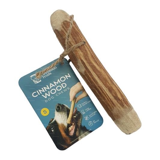 Masticable Ceylon Cinnamon Trails de madera de canela para perros, «pequeño»