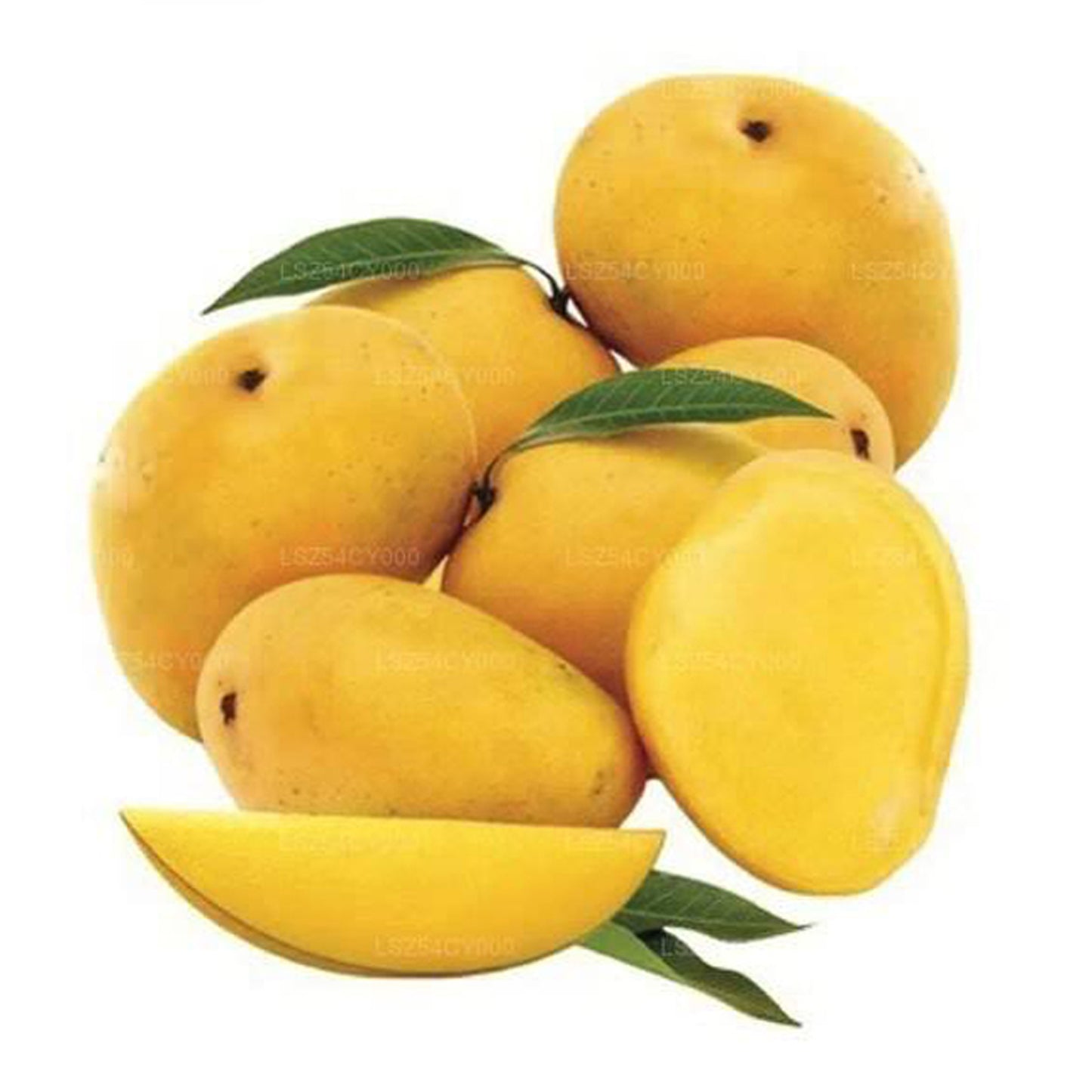 Mango Alphonso (1 kg)