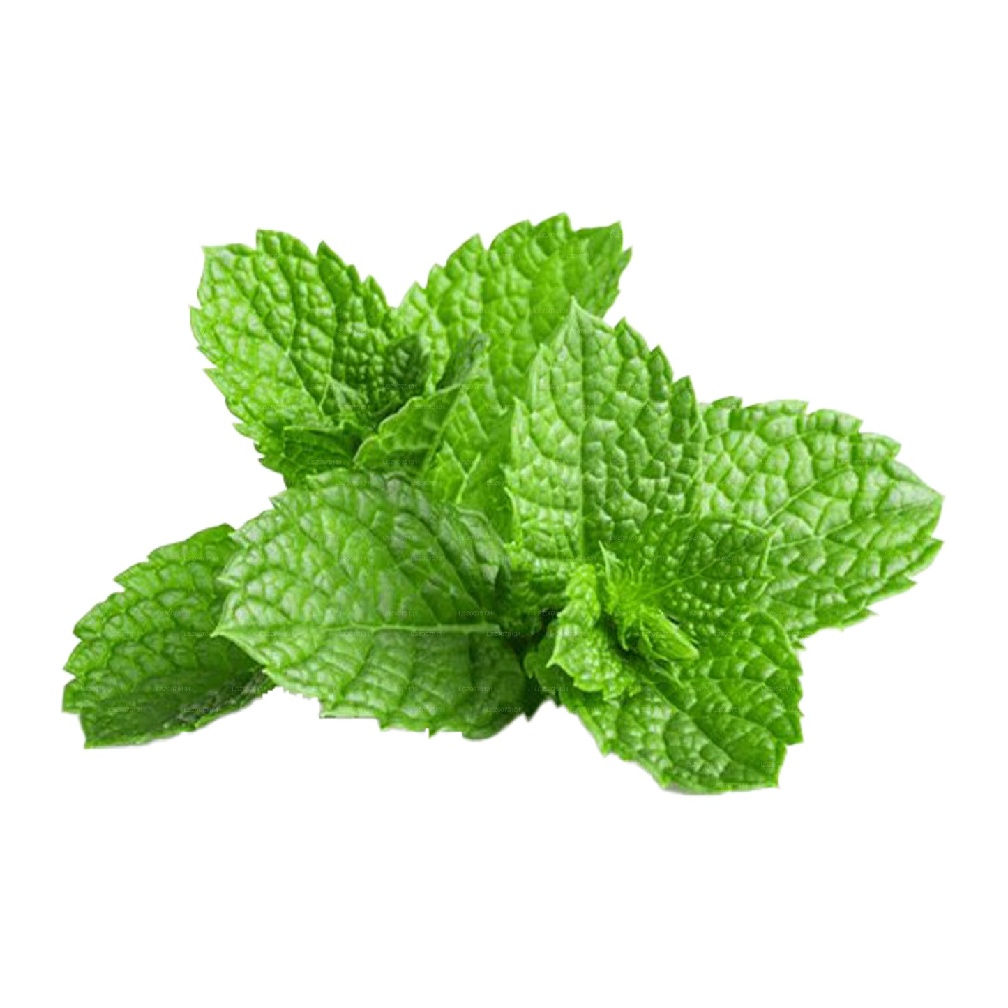 Mint Leaves (100g)