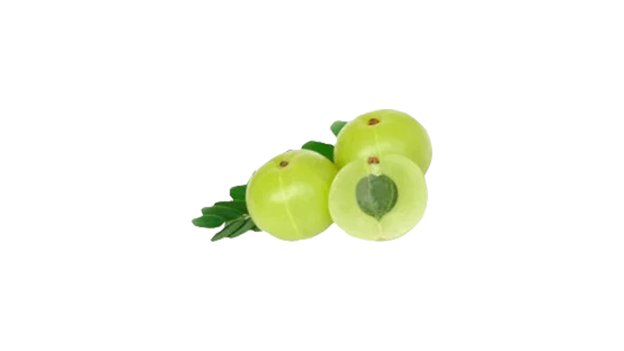 Indian Gooseberry (විදේශීය බෙහෙත් නෙල්ලි බද්ධ) Fruit Plant