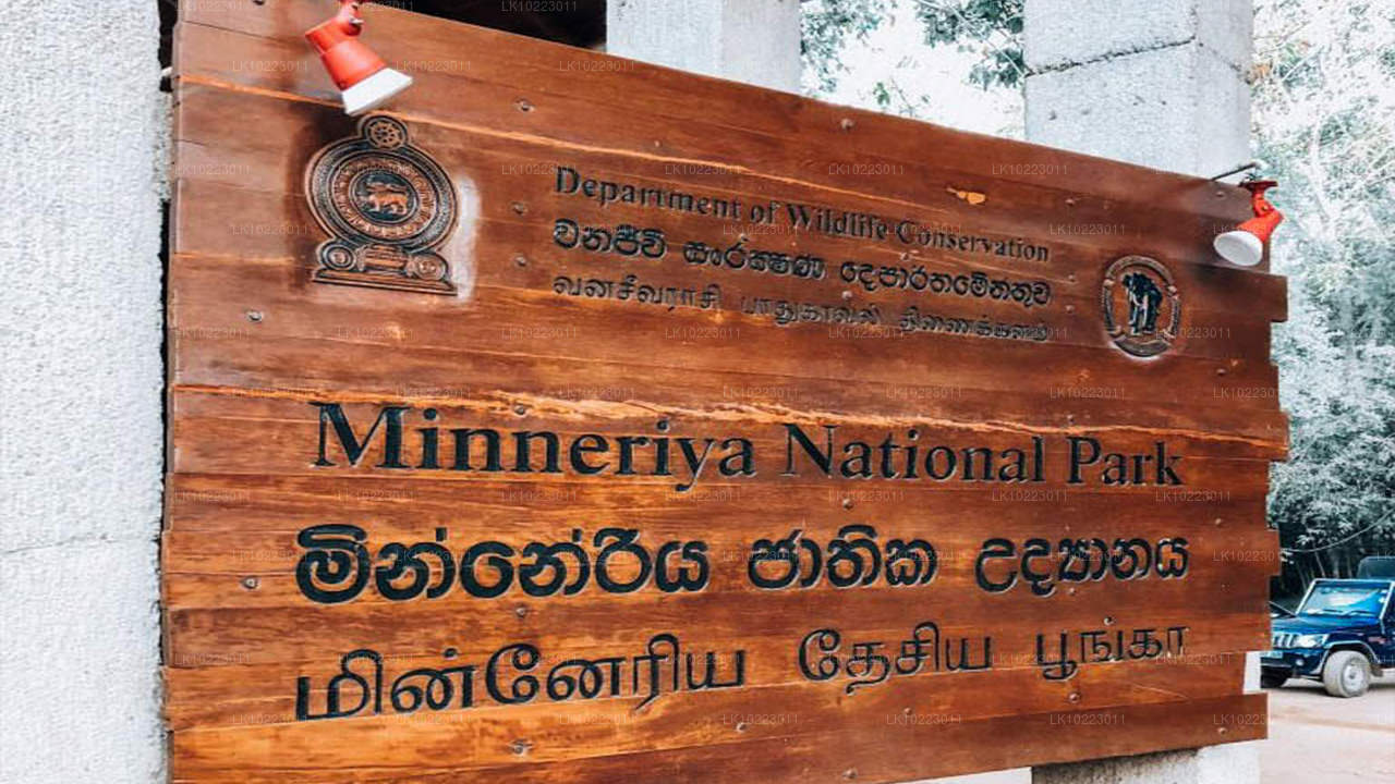 Sigirya y Minneriya desde Negombo (2 días)
