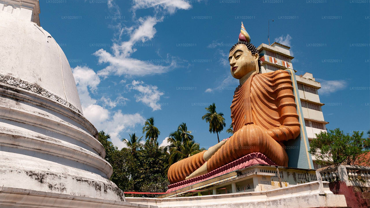 Templos y naturaleza desde Negombo (2 días)