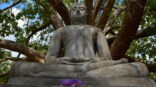 Ciudad sagrada de Anuradhapura desde Colombo (3 días)