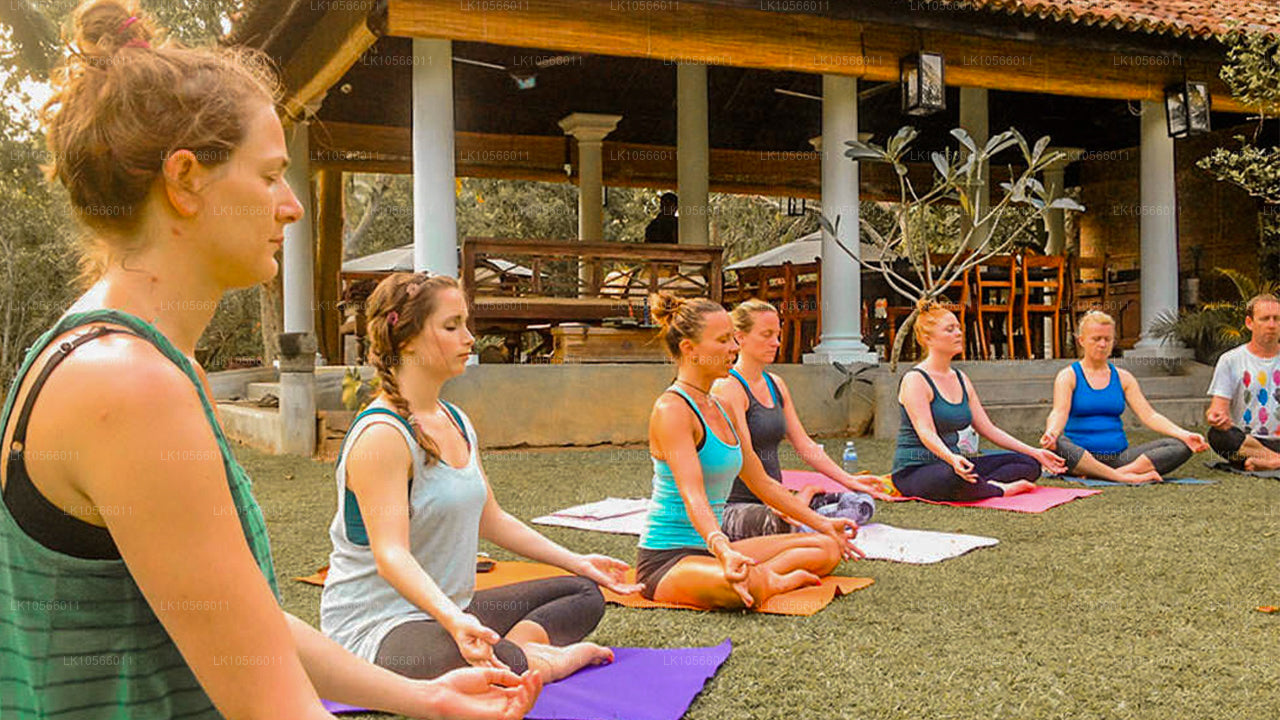 Tour de meditación y yoga (5 días)