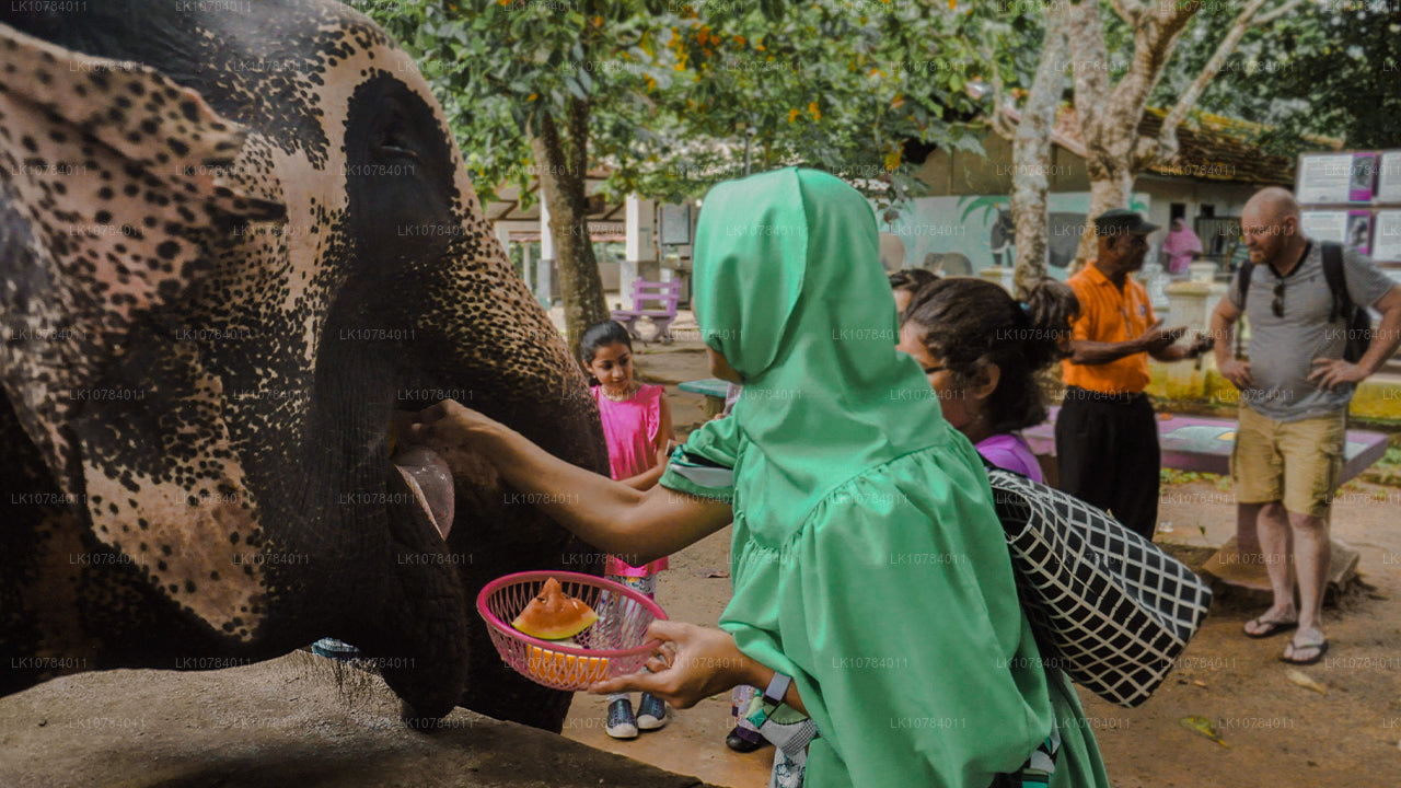 Excursión halal (islámica) a Sri Lanka (7 días)