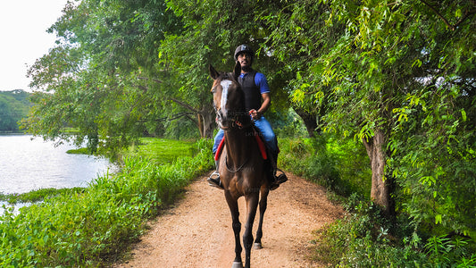 Excursión a caballo (7 días)