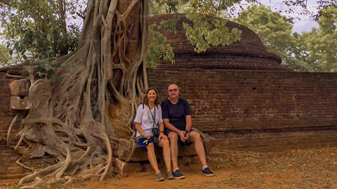 Relájate en Sri Lanka (9 días)