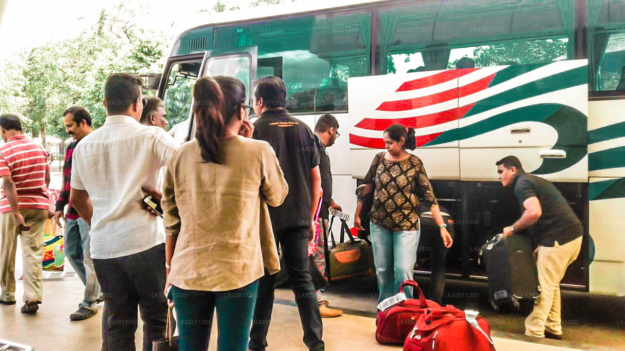 Traslado privado de la ciudad de Negombo a la ciudad de Bentota