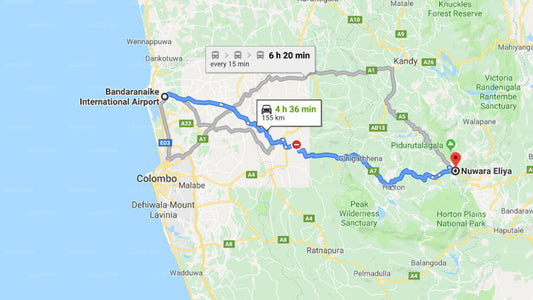 Transfer between Colombo Airport (CMB) and Tea Plant, Nuwara Eliya