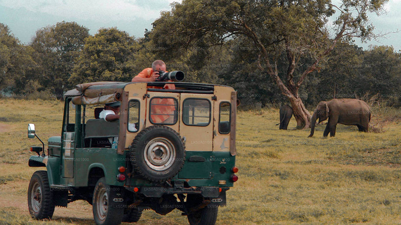 Safari privado en el Parque Nacional Udawalawe