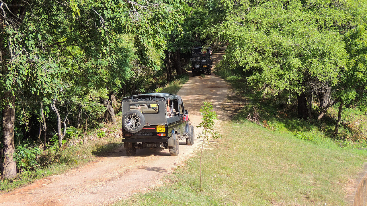Safari privado al Parque Nacional de Kaudulla