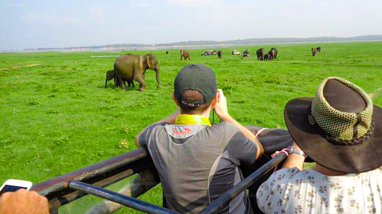 Safari privado al parque ecológico Hurulu