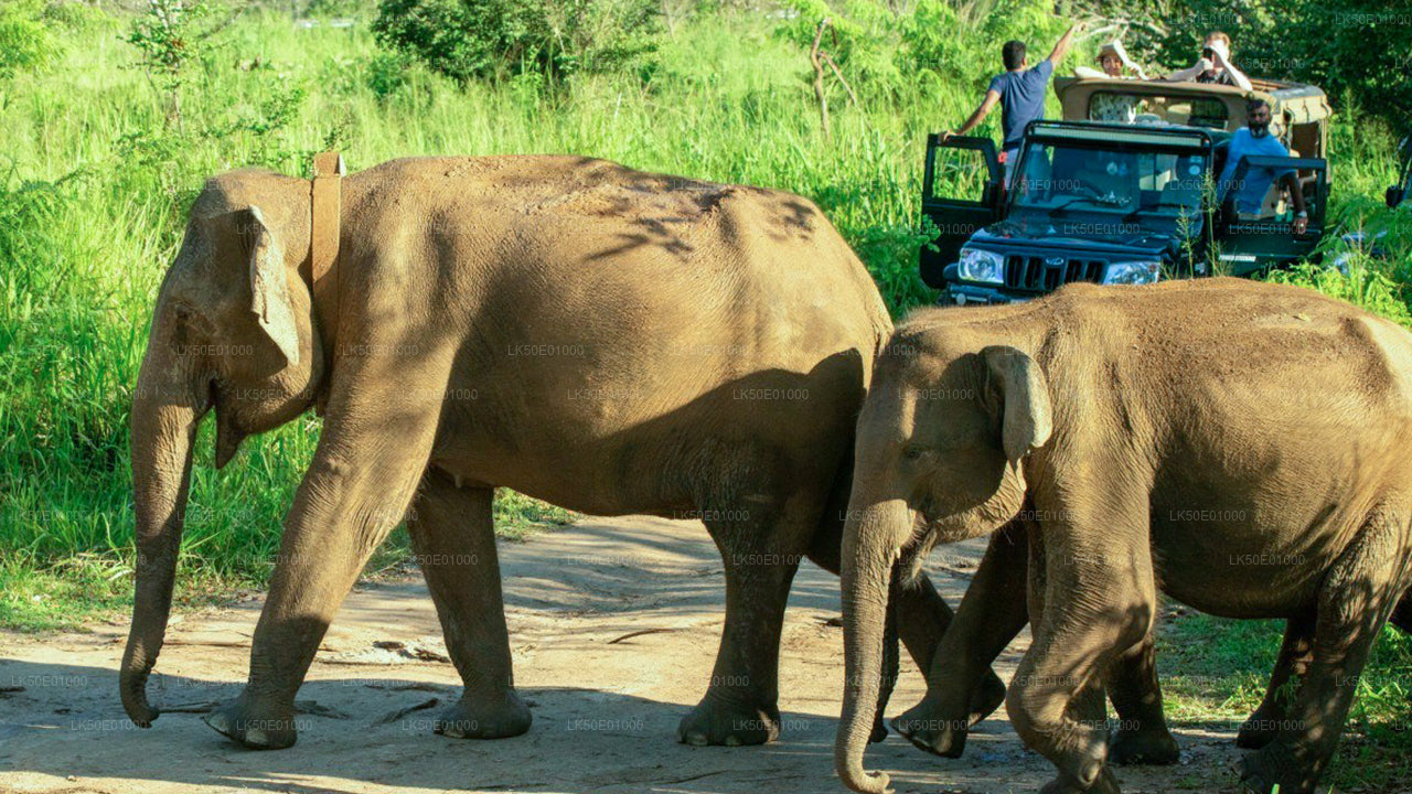 Safari privado al parque ecológico Hurulu