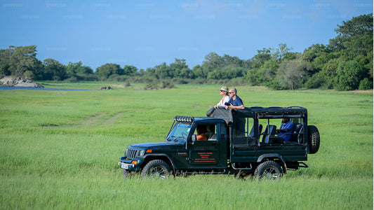 Safari privado en el Parque Nacional Wilpattu