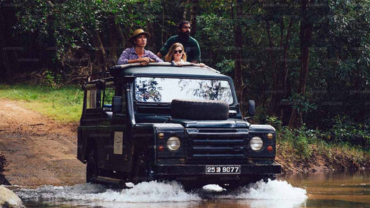 Safari privado con naturalista en el Parque Nacional de Udawalawe