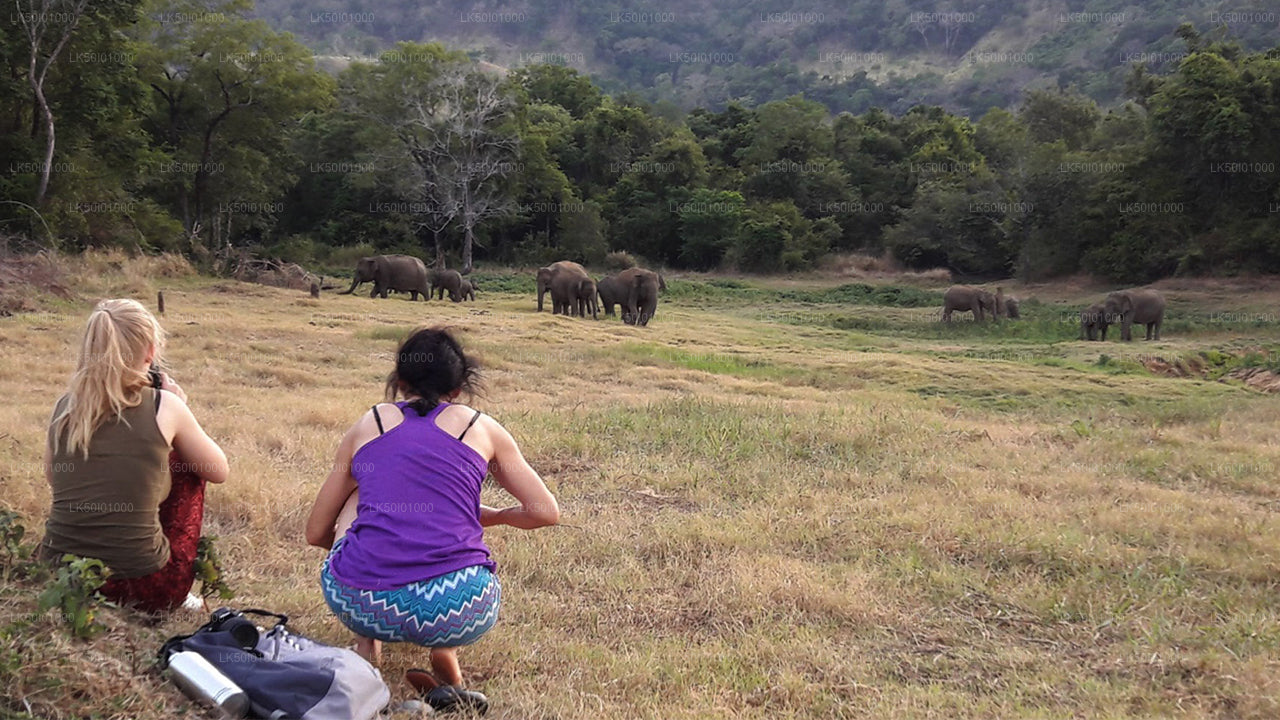 Safari privado al Parque Nacional de Wasgamuwa