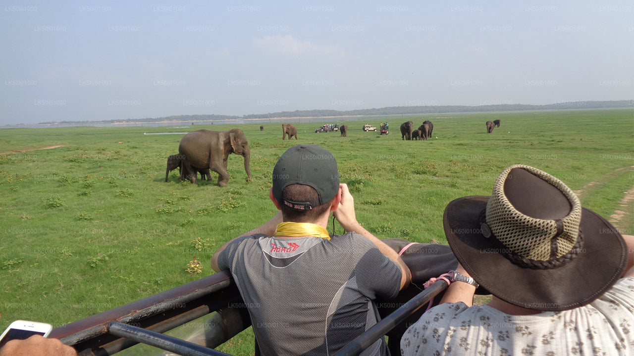 Safari privado al Parque Nacional de Wasgamuwa