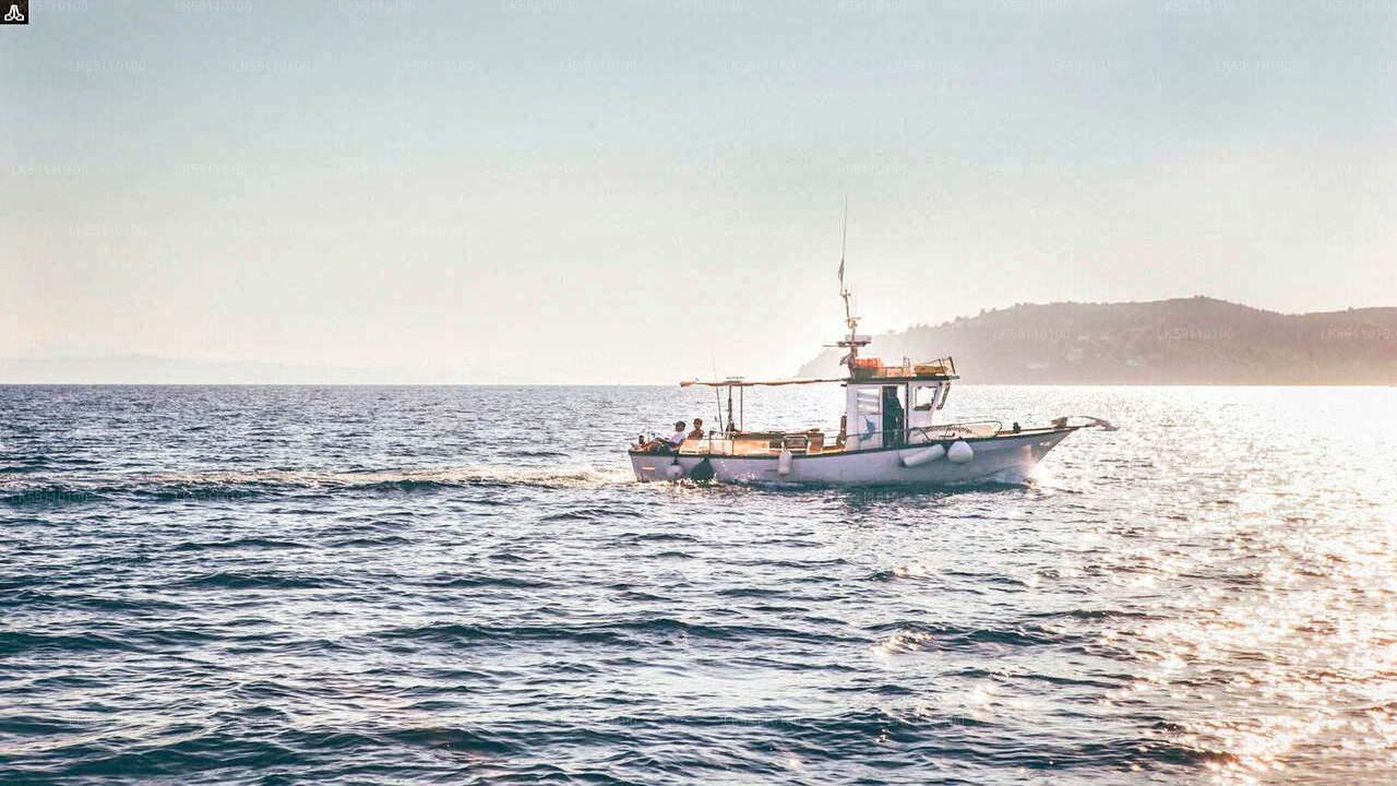 Excursión en barco de pesca en alta mar desde Hikkaduwa