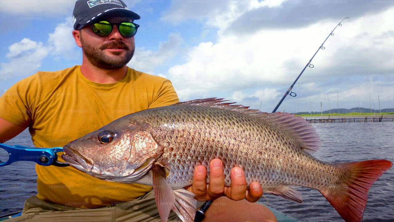 Freshwater Fishing at Bolgoda Lake from Colombo