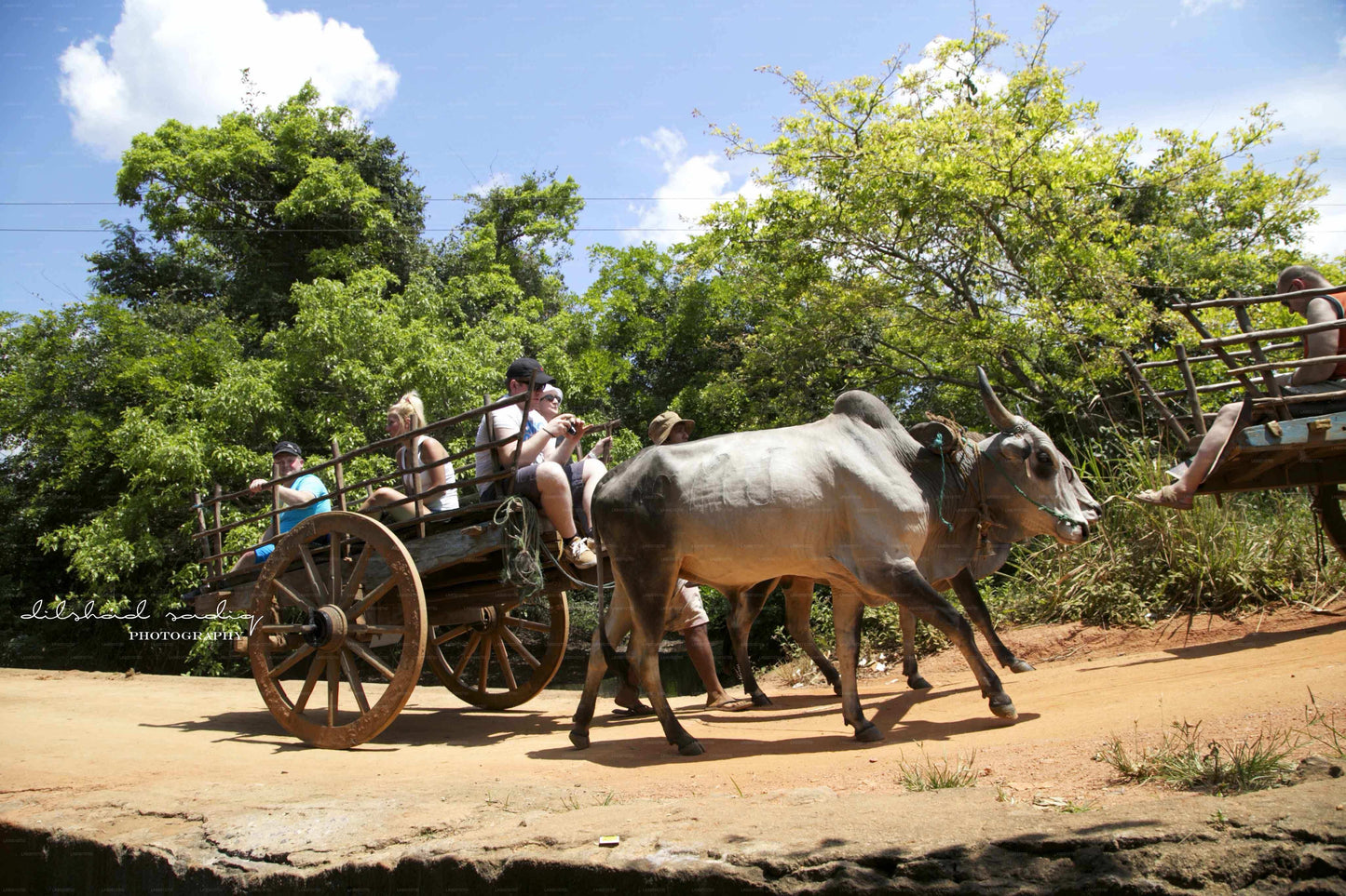 Excursión a la roca y al pueblo de Sigiriya desde Colombo