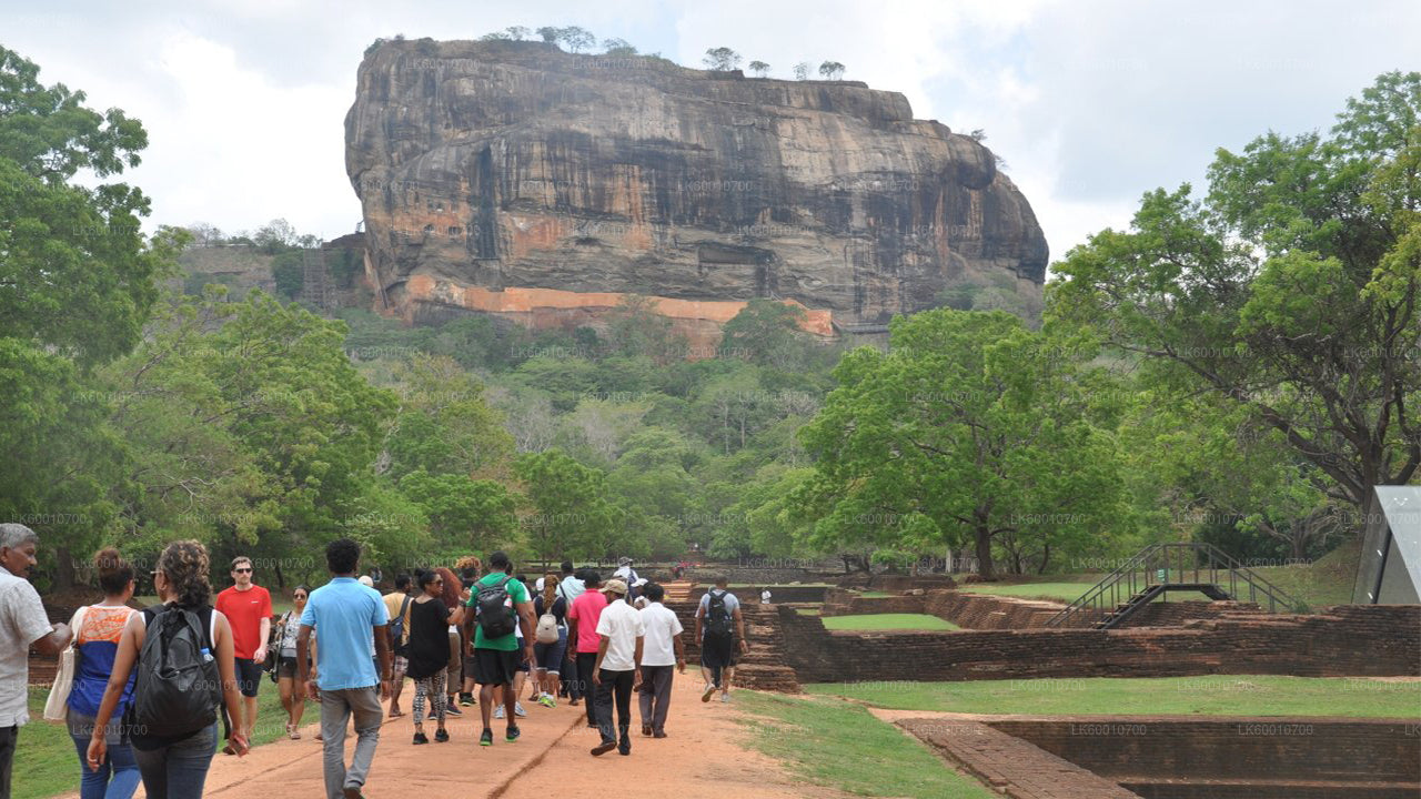 Excursión a la roca y al pueblo de Sigiriya desde Colombo