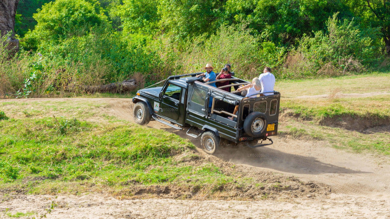 Bundala National Park Safari from Ahungalla