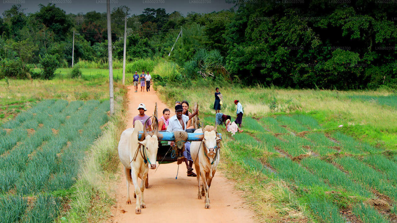 Recorrido por la vida en el pueblo desde Kandy