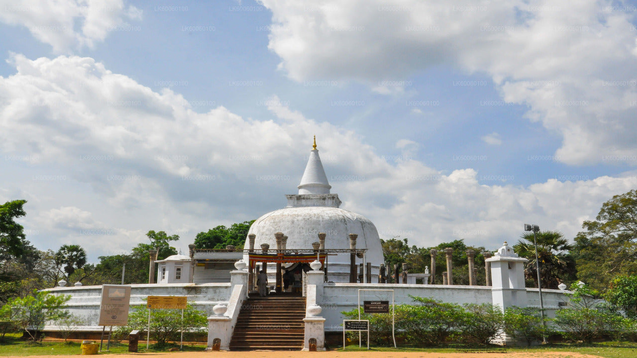 Ciudad sagrada de Anuradhapura desde Dambulla