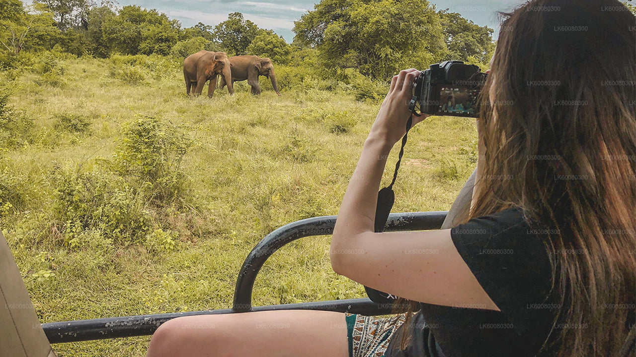 Safari en el Parque Nacional de Udawalawe desde Mirissa