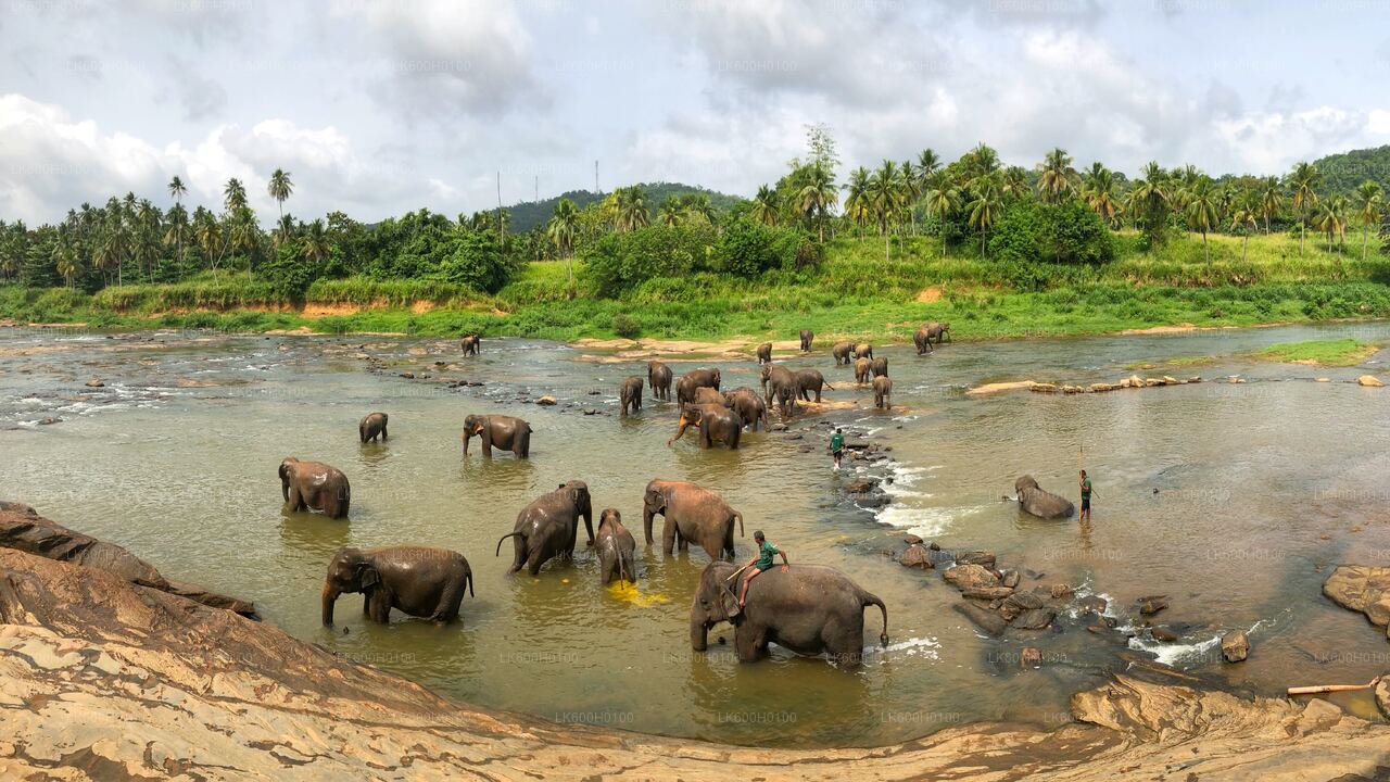 Excursión a la ciudad de Kandy desde Colombo