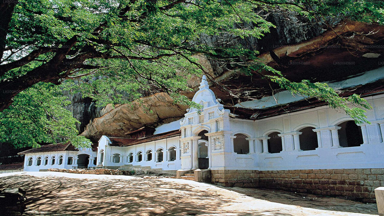 Sigiriya y Dambulla desde Colombo