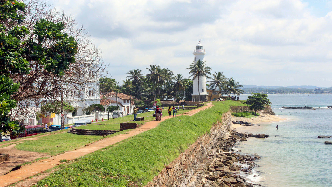 Fábrica de té blanco virgen y fuerte de Galle desde Colombo