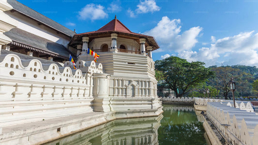Visita a la ciudad de Kandy y visita a la Fundación Millennium Elephant desde Colombo