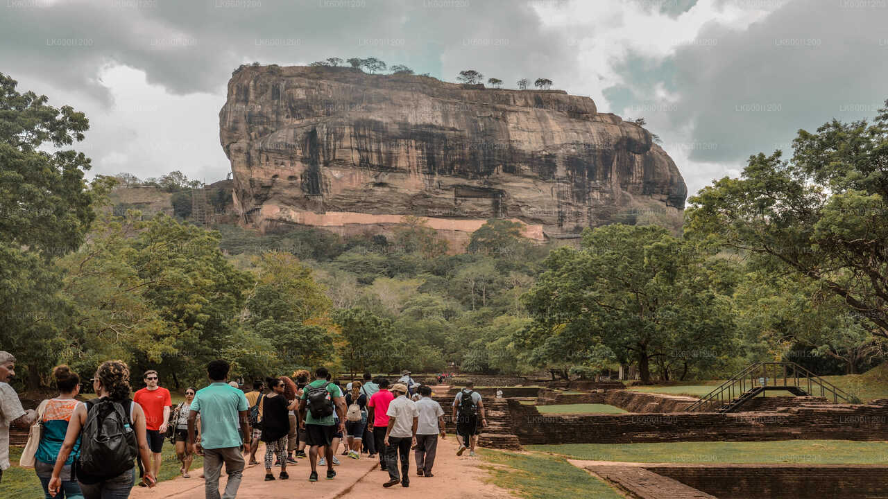 Safari por la roca de Sigiriya y elefantes salvajes desde Dambulla