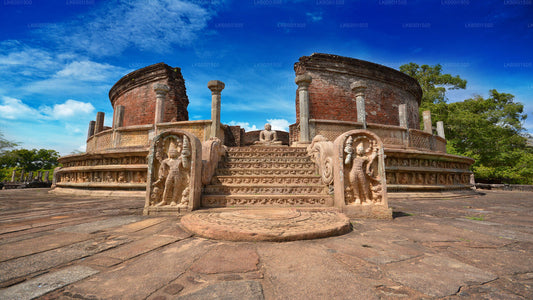 Safari en elefante salvaje y reino antiguo de Polonnaruwa desde Dambulla