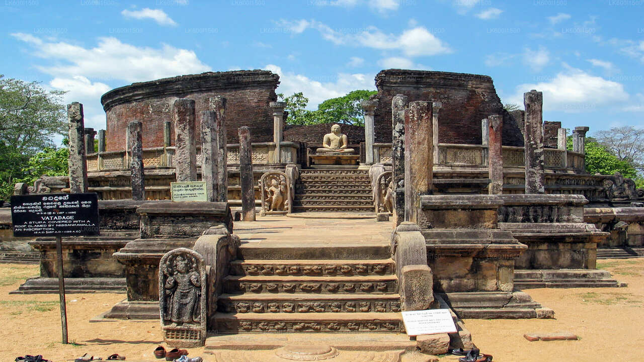 Safari en elefante salvaje y reino antiguo de Polonnaruwa desde Dambulla