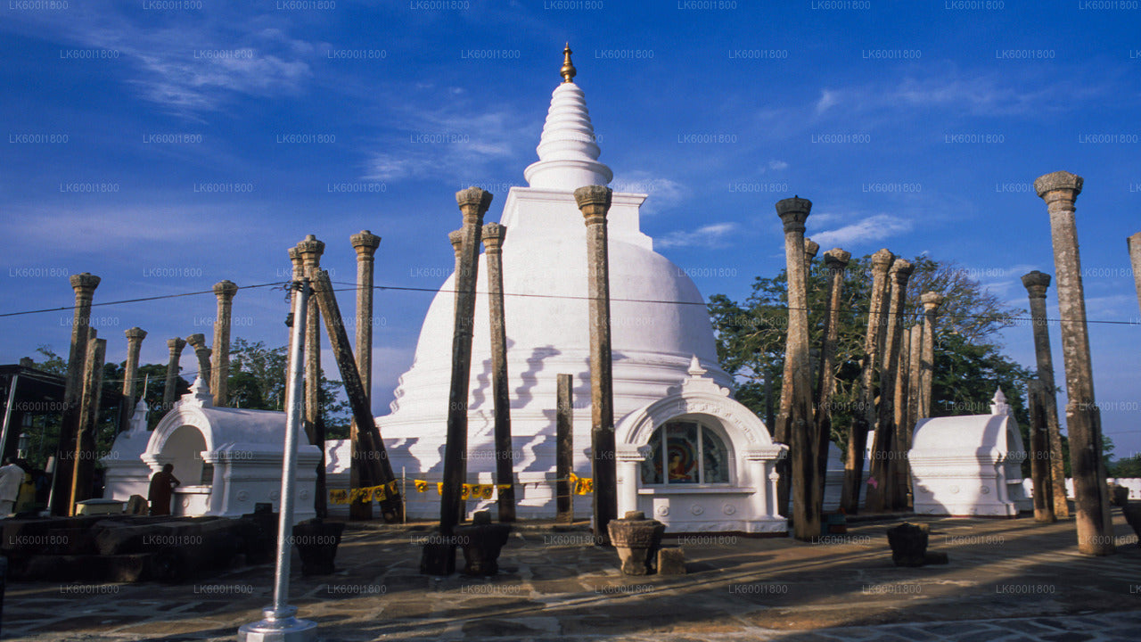 Recorrido por los iconos budistas de Anuradhapura desde Dambulla