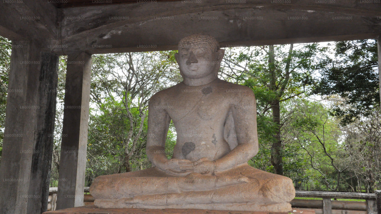 Recorrido por los iconos budistas de Anuradhapura desde Dambulla