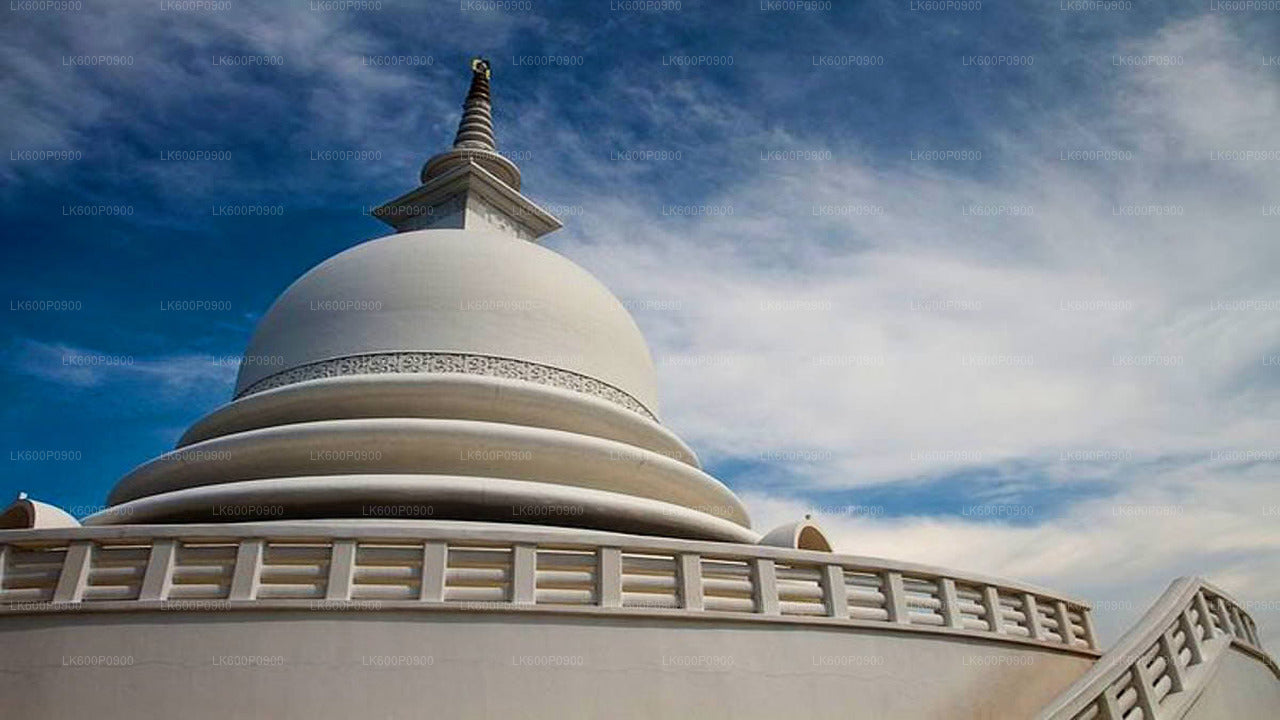 Visita a los templos escondidos y las costas recónditas desde Galle