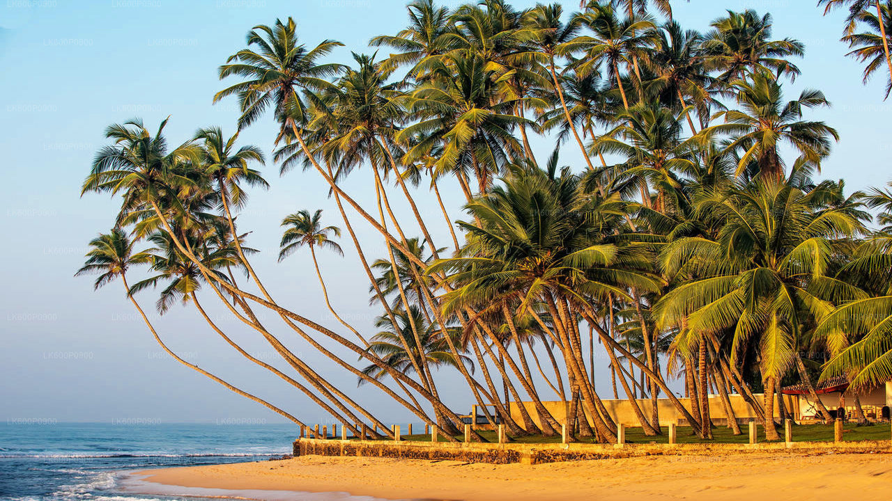 Visita a los templos escondidos y las costas recónditas desde Galle