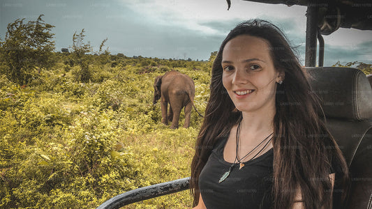 Safari en el Parque Nacional de Udawalawe desde Hikkaduwa