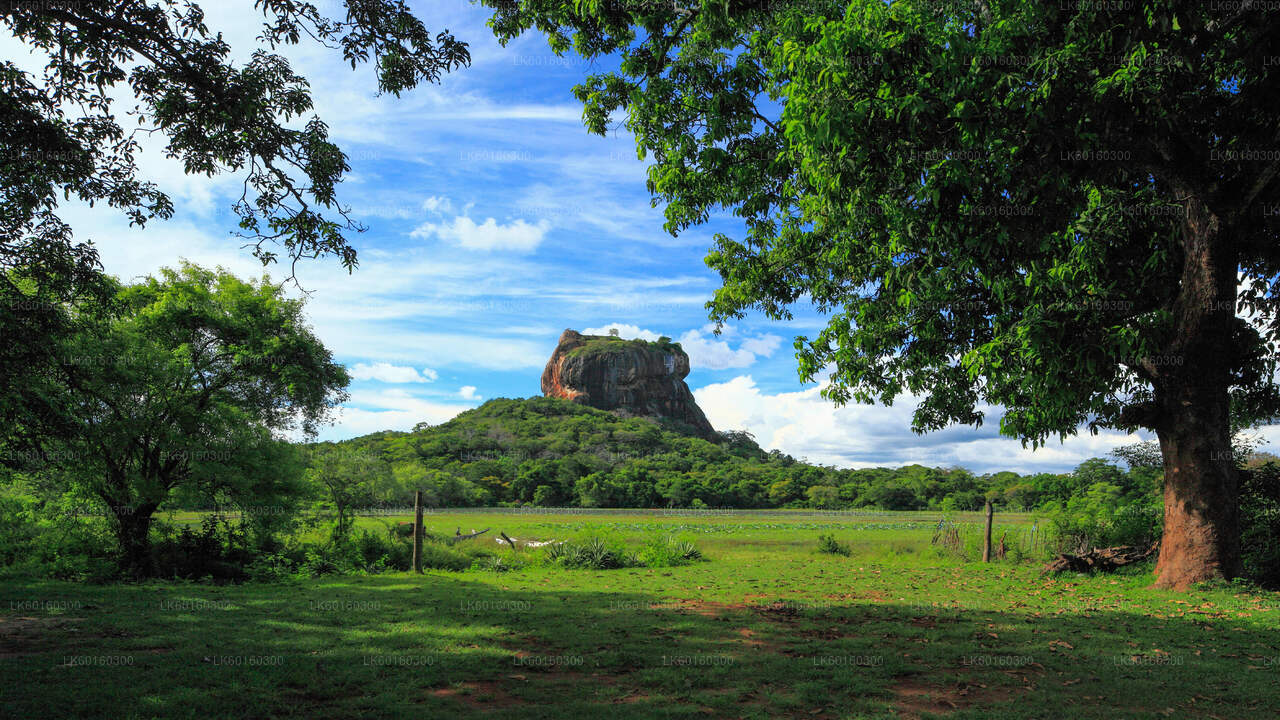 Roca de Sigiriya y cueva de Dambulla de Kalutara