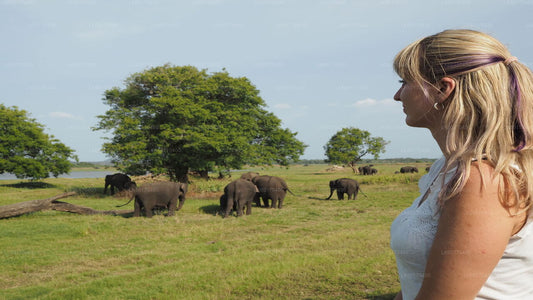 Safari por la roca de Sigiriya y elefantes salvajes desde Kandy