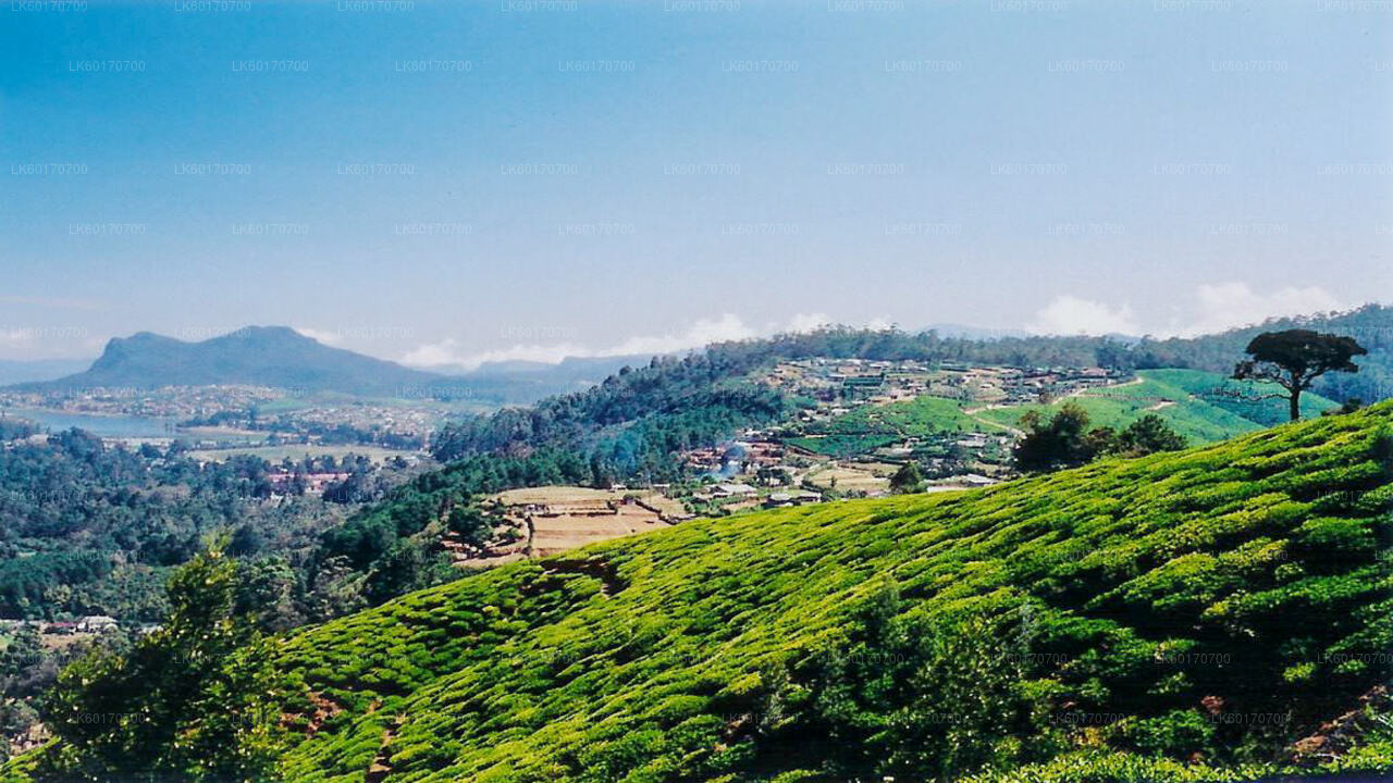 Punto pico de las Tierras Altas Centrales desde Kandy