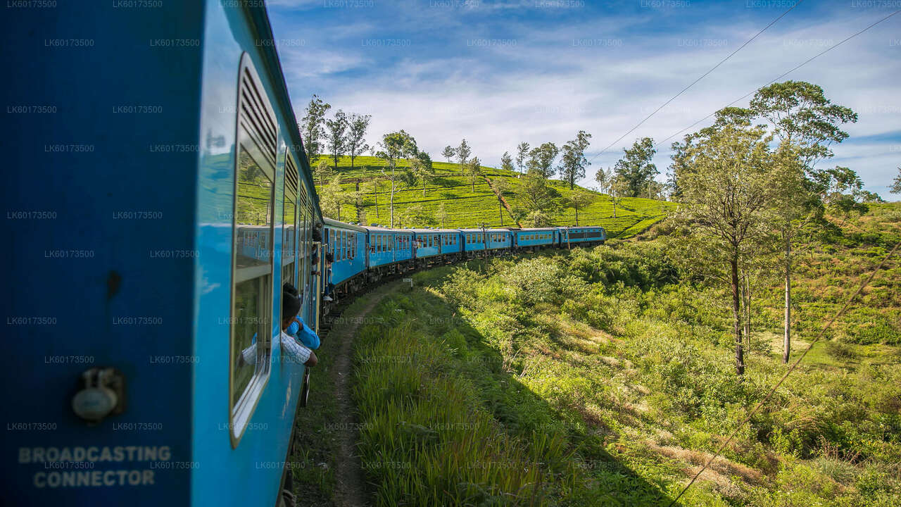 Viaje panorámico en tren a Ella desde Kandy